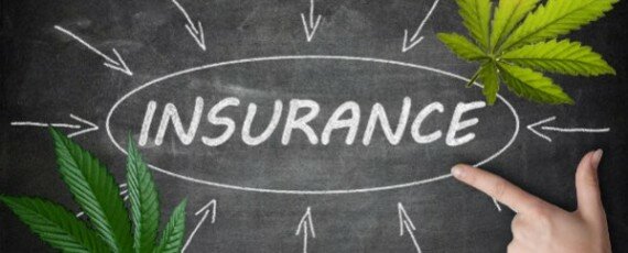 Marijuana collective insurance