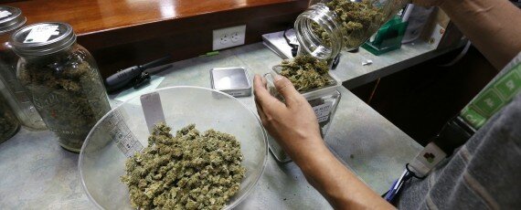 Marijuana business license