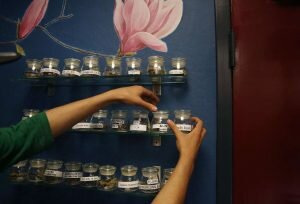 Bookkeeping for marijuana collectives