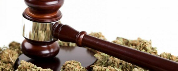 Cannabis business law