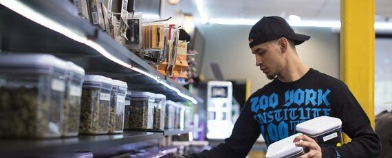 Online Cannabis College