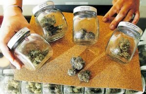 Marijuana dispensary applications