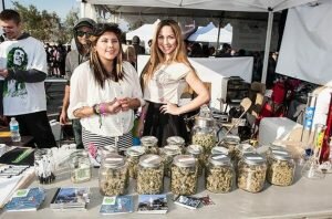 California 420 academy