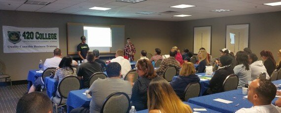 Online marijuana business seminars